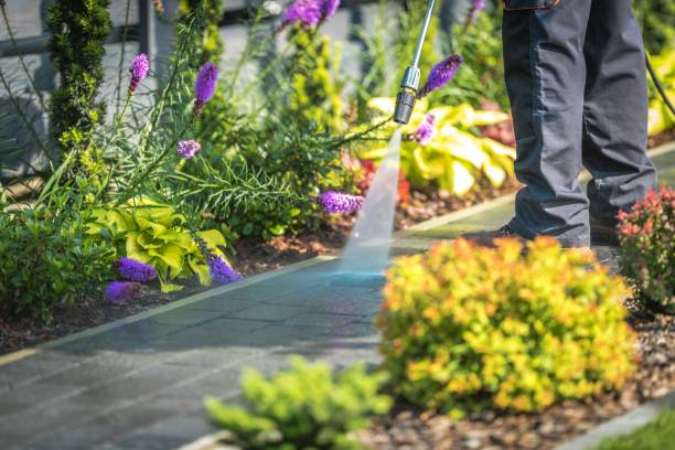 Best Restaurant Pressure Washing  in Troup, TX