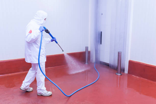 Best Playground Equipment Cleaning  in Troup, TX
