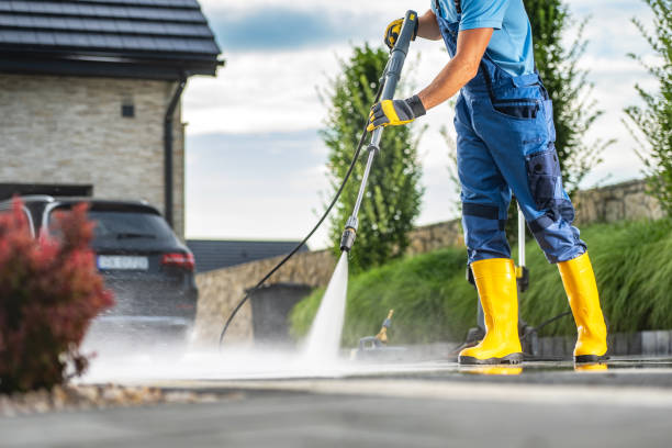 Best Roof Washing  in Troup, TX